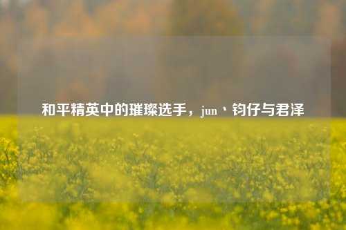 和平精英中的璀璨选手，jun丶钧仔与君泽