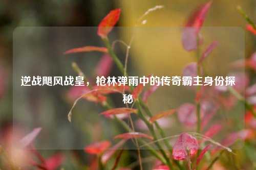 逆战飓风战皇,枪林弹雨中的传奇霸主身份探秘