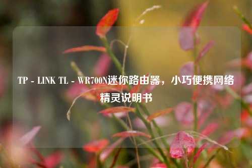 TP - LINK TL - WR700N迷你路由器，小巧便携网络精灵说明书