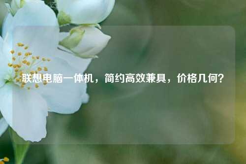 联想电脑一体机，简约高效兼具，价格几何？