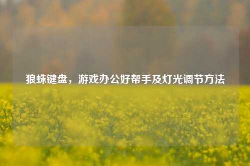 狼蛛键盘,游戏办公好帮手及灯光调节方法