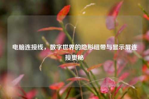电脑连接线，数字世界的隐形纽带与显示屏连接奥秘