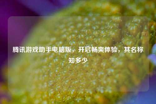 腾讯游戏助手电脑版，开启畅爽体验，其名称知多少