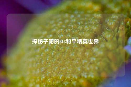 探秘子阳的818和平精英世界