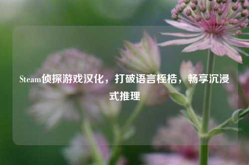 Steam侦探游戏汉化,打破语言桎梏,畅享沉浸式推理