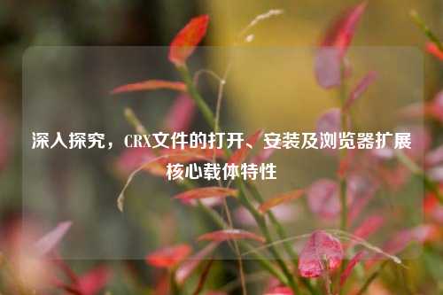深入探究,CRX文件的打开、安装及浏览器扩展核心载体特性