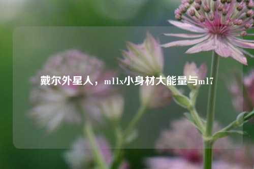 戴尔外星人,m11x小身材大能量与m17