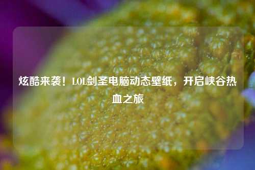 炫酷来袭！LOL剑圣电脑动态壁纸，开启峡谷热血之旅