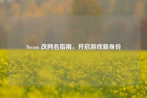 Steam 改网名指南，开启游戏新身份