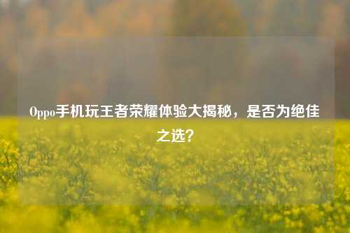 Oppo手机玩王者荣耀体验大揭秘,是否为绝佳之选?