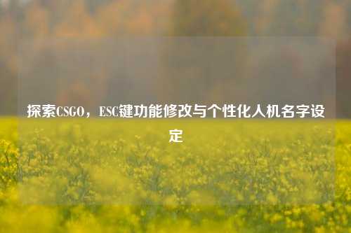探索CSGO，ESC键功能修改与个性化人机名字设定