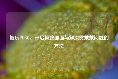 畅玩PUBG,开启极致画面与解决雾蒙蒙问题的方法