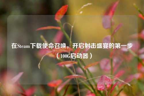 在Steam下载使命召唤，开启射击盛宴的第一步（100G启动器）