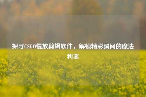 探寻CSGO慢放剪辑软件，解锁精彩瞬间的魔法利器
