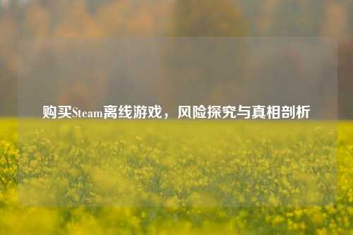 购买Steam离线游戏，风险探究与真相剖析