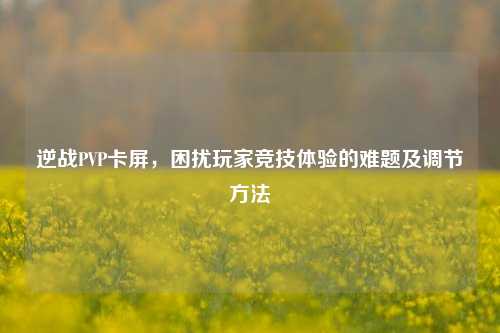 逆战PVP卡屏，困扰玩家竞技体验的难题及调节方法