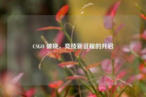 CSGO 破晓，竞技新征程的开启
