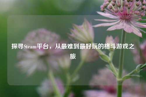 探寻Steam平台，从最难到最好玩的格斗游戏之旅