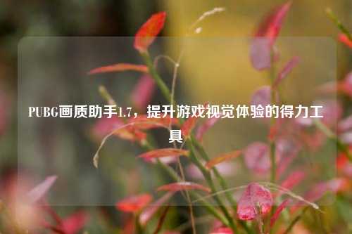 PUBG画质助手1.7，提升游戏视觉体验的得力工具