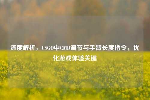 深度解析,CSGO中CMD调节与手臂长度指令,优化游戏体验关键