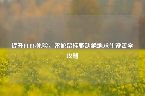 提升PUBG体验,雷蛇鼠标驱动绝地求生设置全攻略