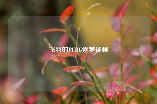 飞羽的PUBG逐梦征程
