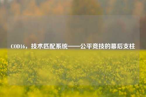COD16,技术匹配系统——公平竞技的幕后支柱
