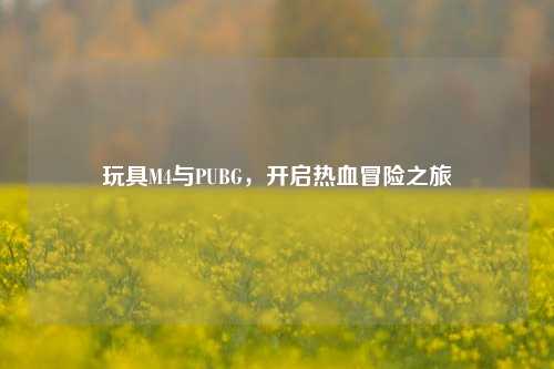 玩具M4与PUBG，开启热血冒险之旅