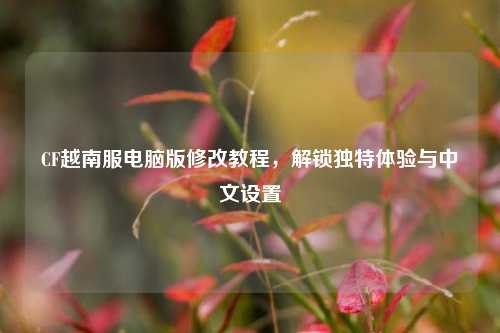 CF越南服电脑版修改教程，解锁独特体验与中文设置