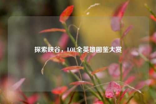 探索峡谷,LOL全英雄图鉴大赏