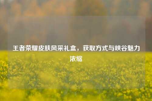 王者荣耀皮肤风采礼盒，获取方式与峡谷魅力浓缩