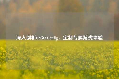 深入剖析CSGO Config,定制专属游戏体验