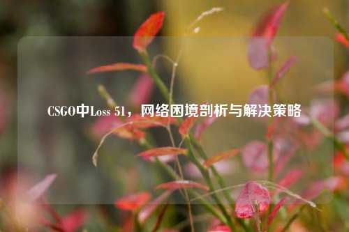 CSGO中Loss 51，网络困境剖析与解决策略