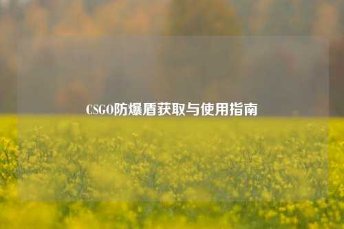 CSGO防爆盾获取与使用指南
