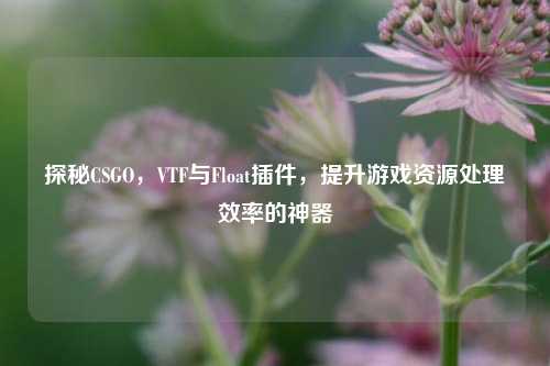 探秘CSGO,VTF与Float插件,提升游戏资源处理效率的神器