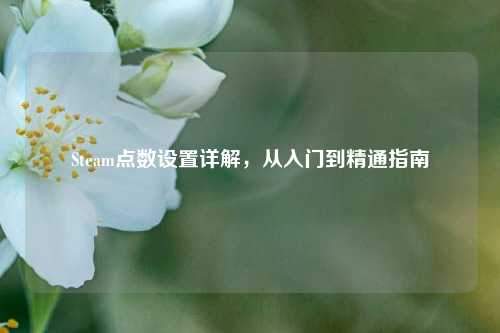 Steam点数设置详解,从入门到精通指南