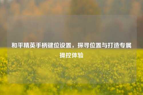 和平精英手柄键位设置，探寻位置与打造专属操控体验