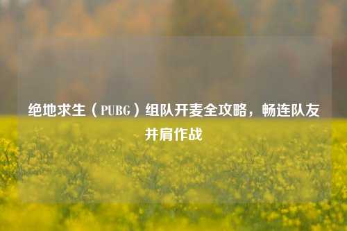 绝地求生（PUBG）组队开麦全攻略，畅连队友并肩作战