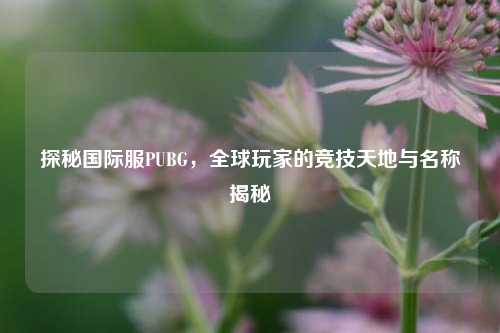 探秘国际服PUBG,全球玩家的竞技天地与名称揭秘