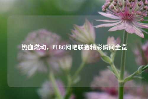热血燃动，PUBG网吧联赛精彩瞬间全览