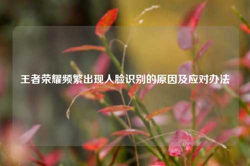 王者荣耀频繁出现人脸识别的原因及应对办法