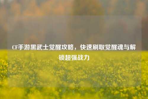 CF手游黑武士觉醒攻略,快速刷取觉醒魂与解锁超强战力
