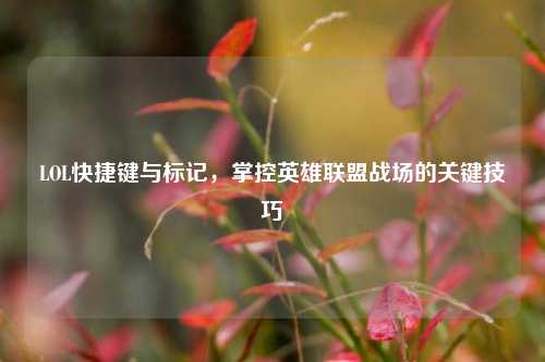 LOL快捷键与标记，掌控英雄联盟战场的关键技巧