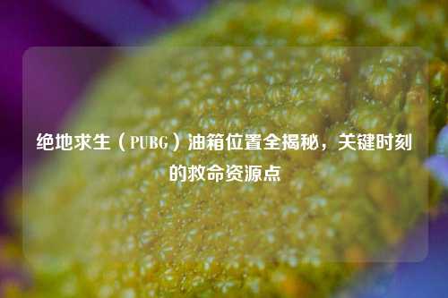 绝地求生(PUBG)油箱位置全揭秘,关键时刻的救命资源点