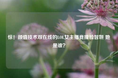 惊!颜值技术双在线的LOL女主播竟撞脸智妍 她是谁?