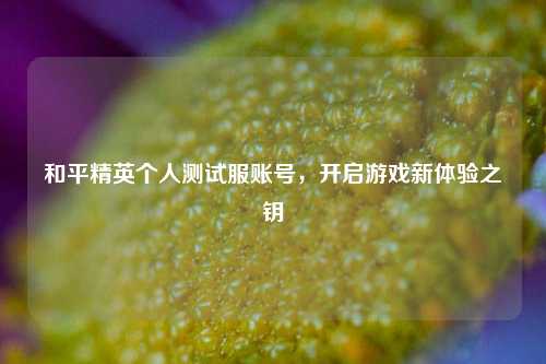 和平精英个人测试服账号,开启游戏新体验之钥