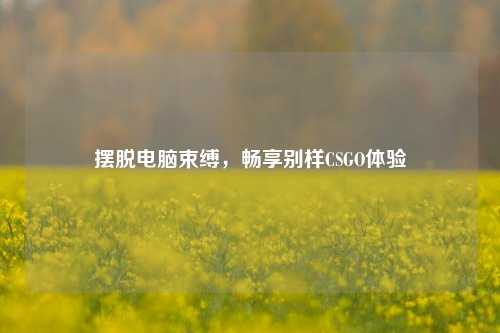 摆脱电脑束缚，畅享别样CSGO体验
