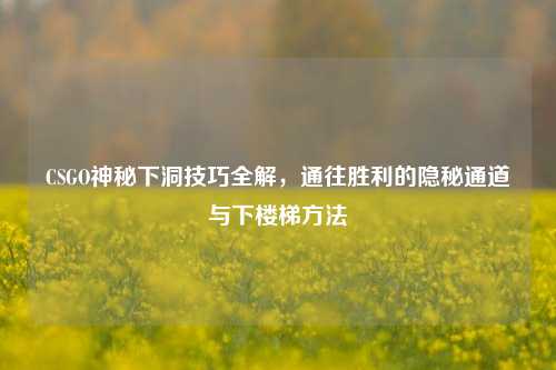 CSGO神秘下洞技巧全解，通往胜利的隐秘通道与下楼梯方法