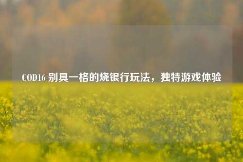 COD16 别具一格的烧银行玩法，独特游戏体验