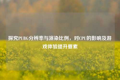 探究PUBG分辨率与渲染比例,对CPU的影响及游戏体验提升要素